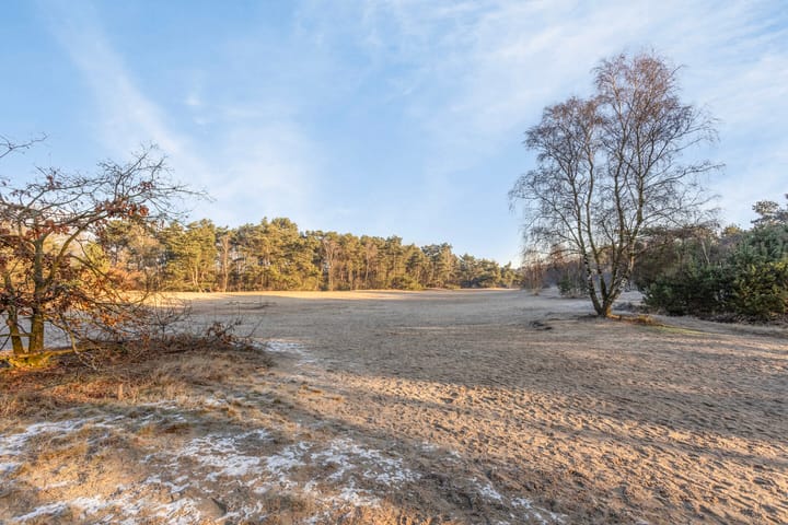 Foto 43 van Sparrenhoeven 7