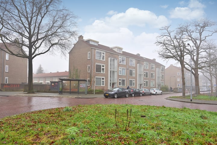 Erfgooiersstraat 247