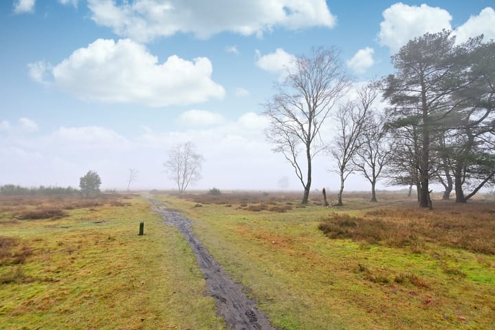 Foto 9 van Erfgooiersstraat 247