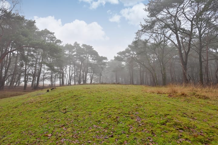 Foto 10 van Erfgooiersstraat 247