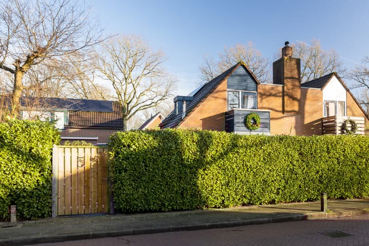 Foto 2 van Mauvekant 5