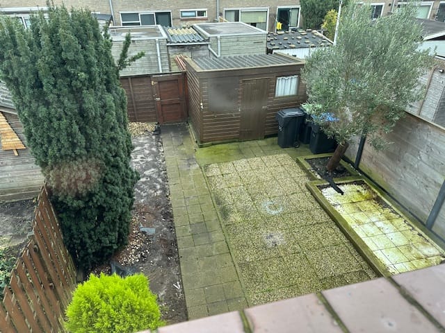 Photo 3 of Galjoot 5