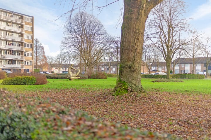 Foto 38 van Kruiskampsingel 109