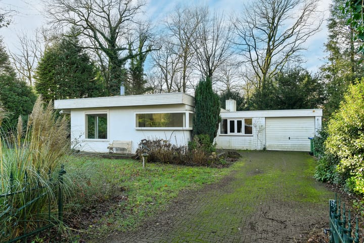 Foto 4 van Wildlaan 6