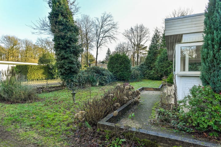 Foto 5 van Wildlaan 6