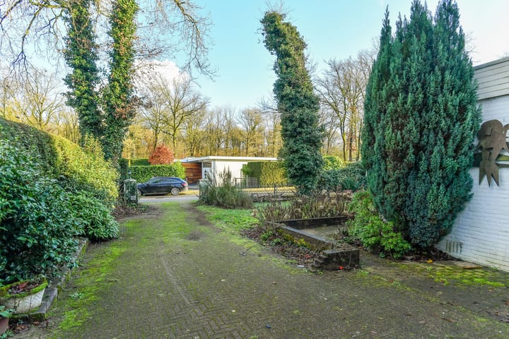 Foto 6 van Wildlaan 6