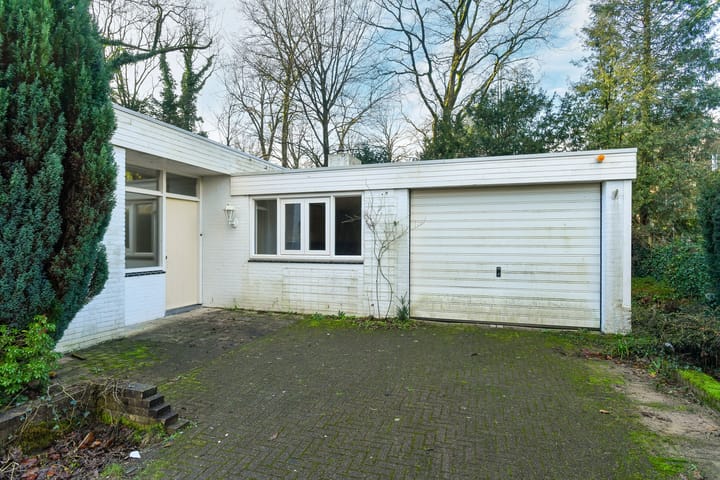 Foto 7 van Wildlaan 6