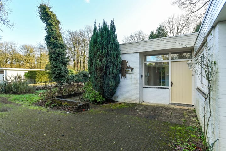 Foto 8 van Wildlaan 6