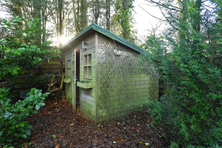 Foto 39 van Wildlaan 6