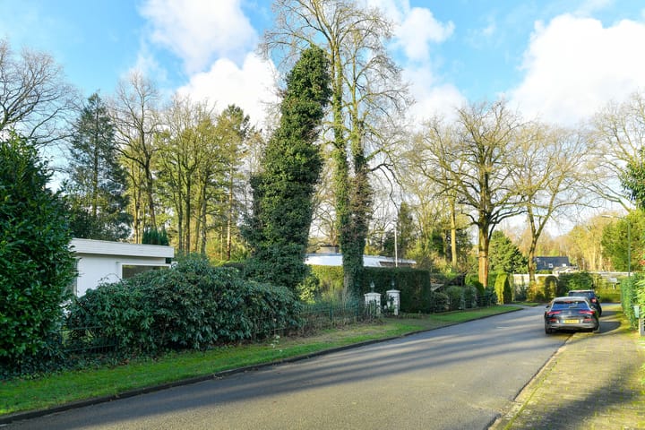 Foto 40 van Wildlaan 6