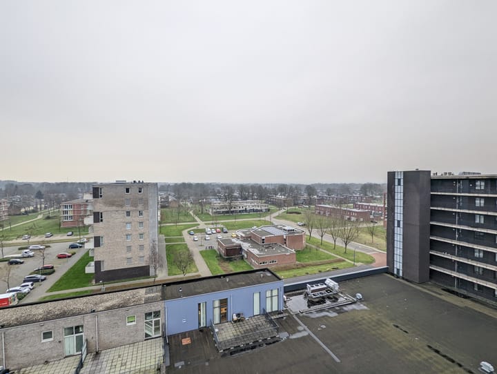 Foto 12 van Houtweg 242