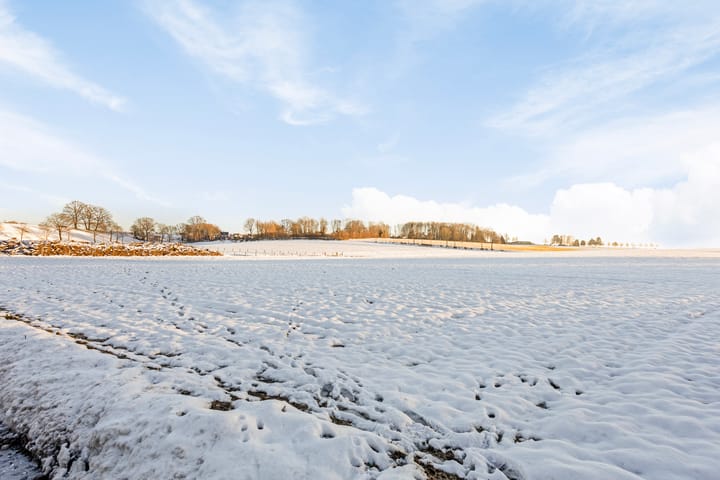 Foto 52 van Horenweg 74