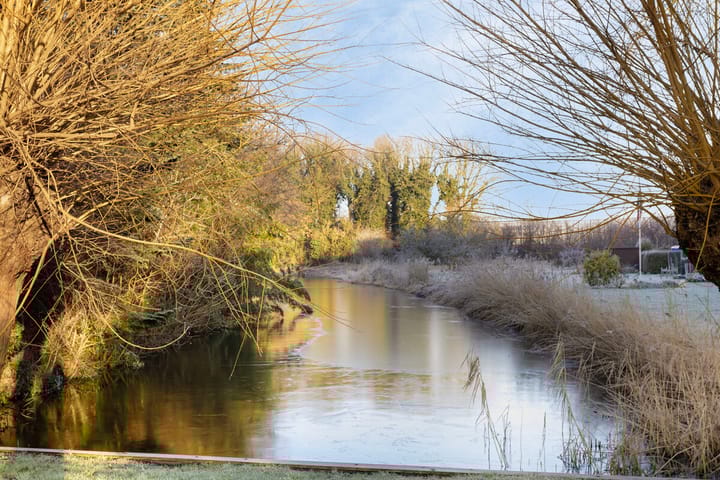 Foto 37 van Borgweg 21