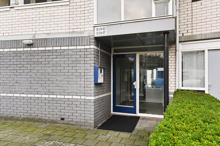 Foto 4 van Ir. van der Sluijsplantsoen 63