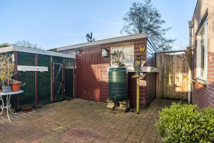 Foto 25 van Koekoeksblom 17