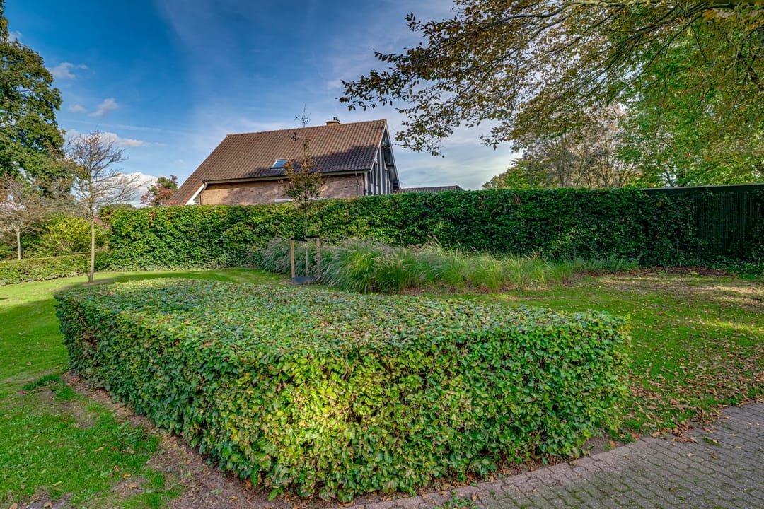 Foto 53 van Dunselmanstraat 19