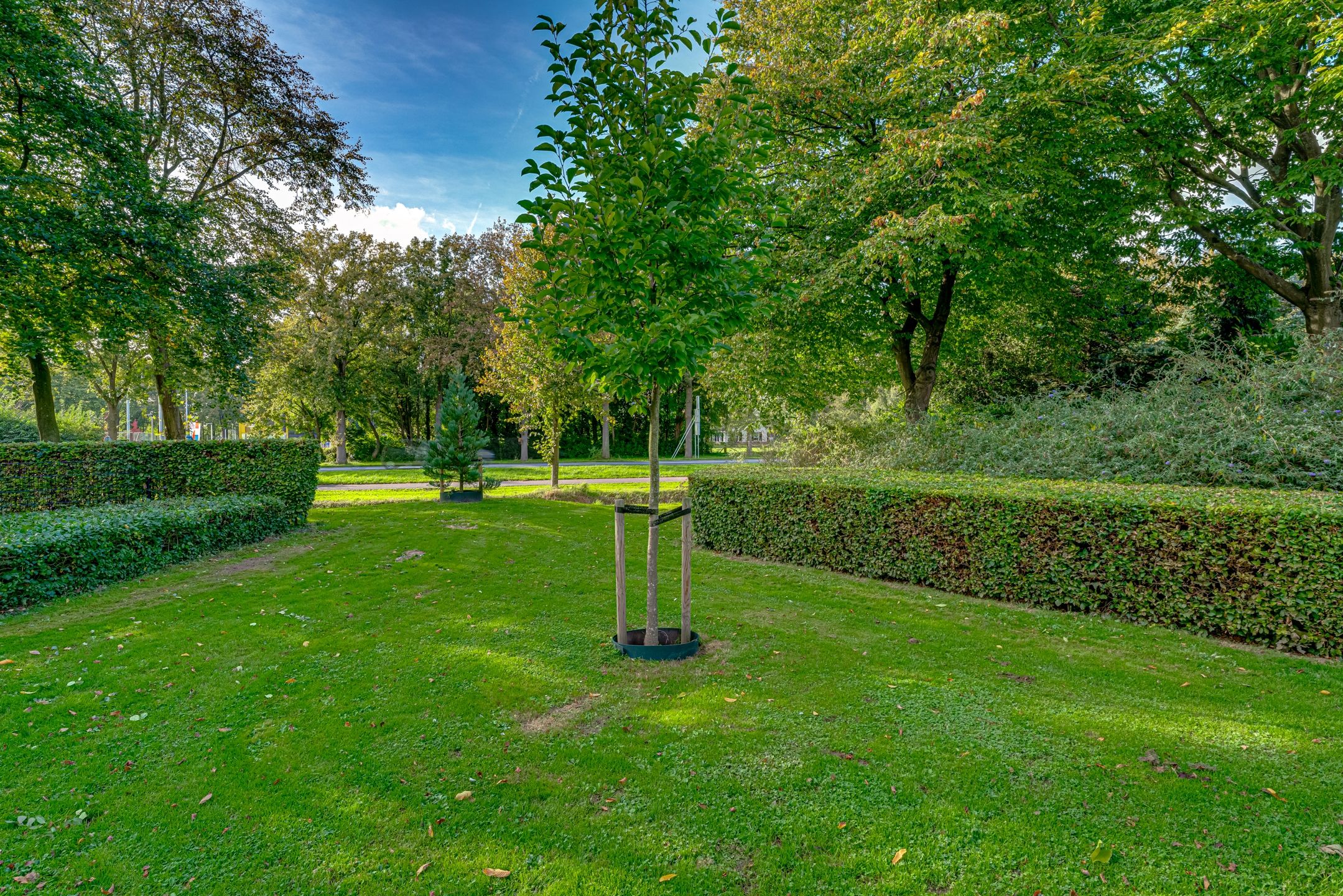 Foto 54 van Dunselmanstraat 19