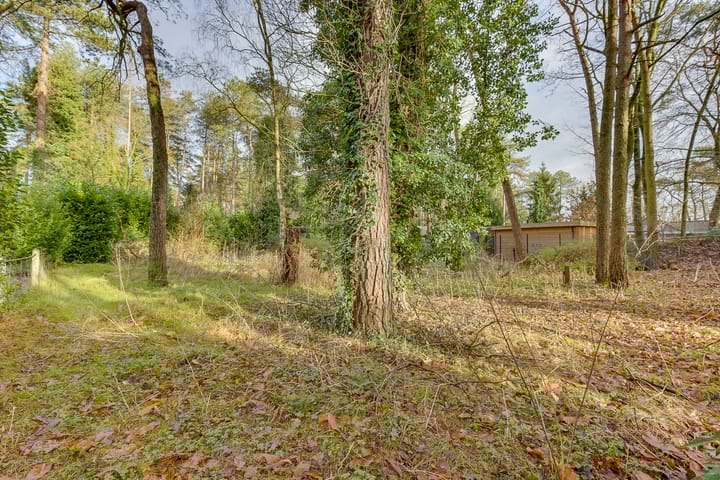 Foto 38 van Heideweg 67