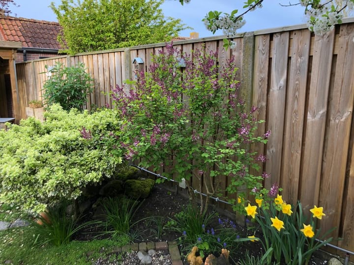 Foto 36 van Gaaipersstraat 10