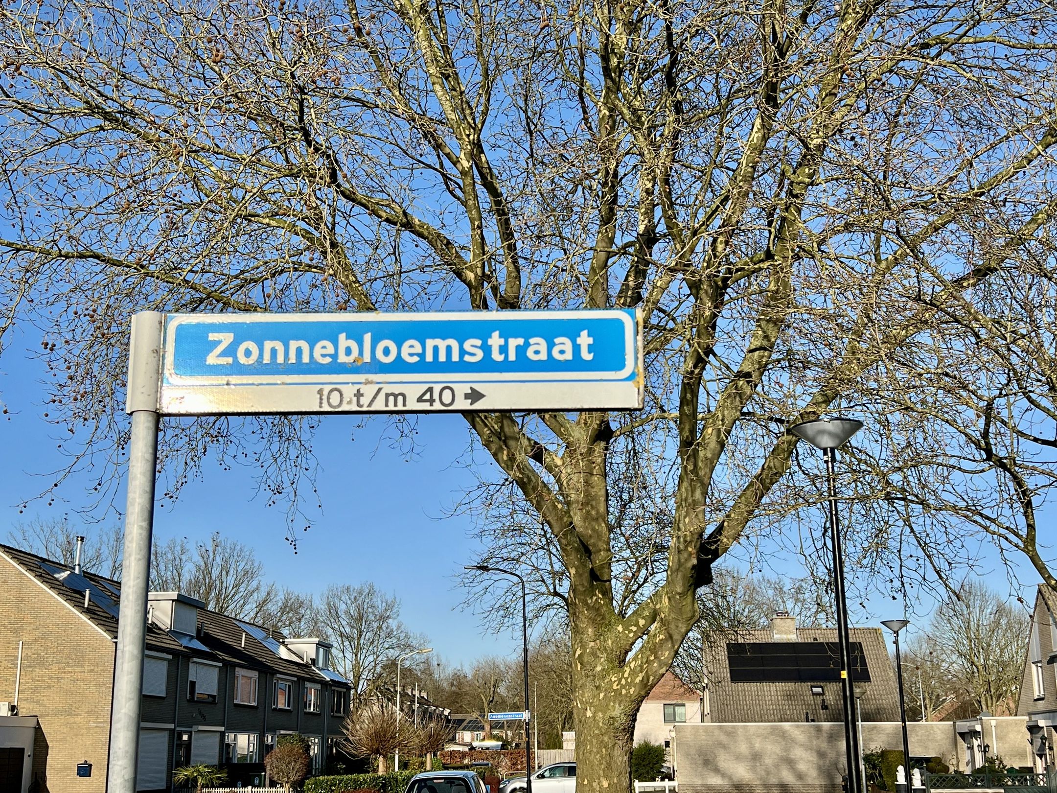 Foto 6 van Zonnebloemstraat 38