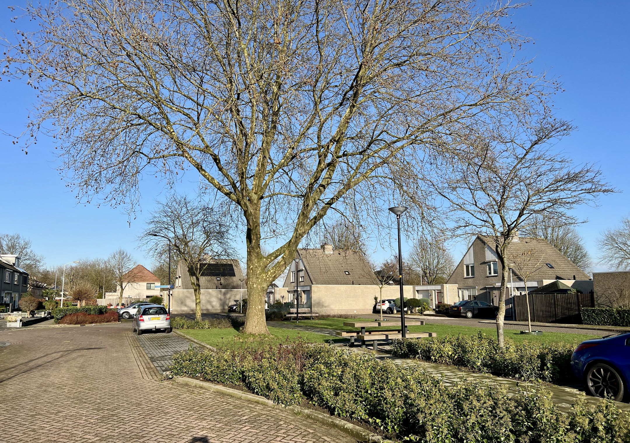 Foto 33 van Zonnebloemstraat 38