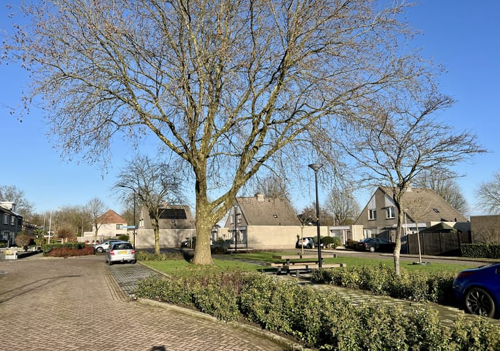 Foto 33 van Zonnebloemstraat 38