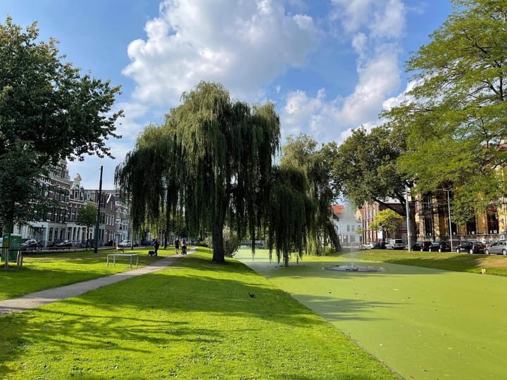 Foto 23 van Bergstraat 11-A