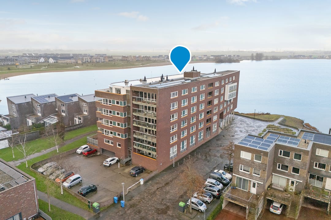 Foto 2 van Puntkroos 95