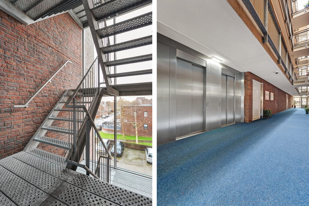 Foto 7 van Puntkroos 95