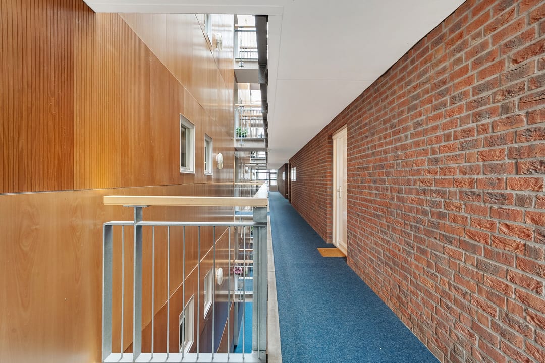 Foto 8 van Puntkroos 95