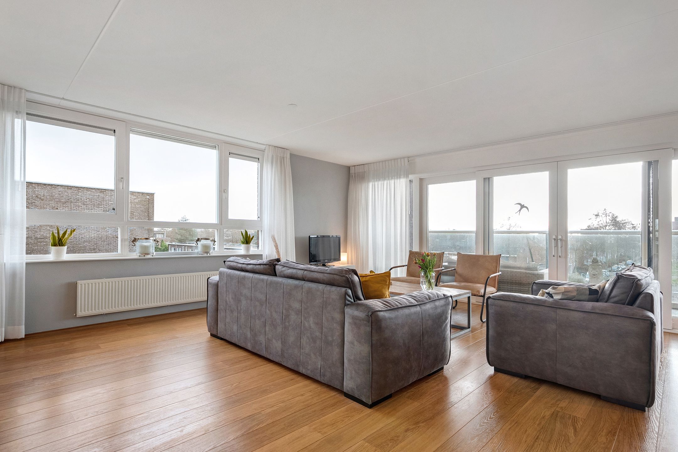 Foto 12 van Puntkroos 95