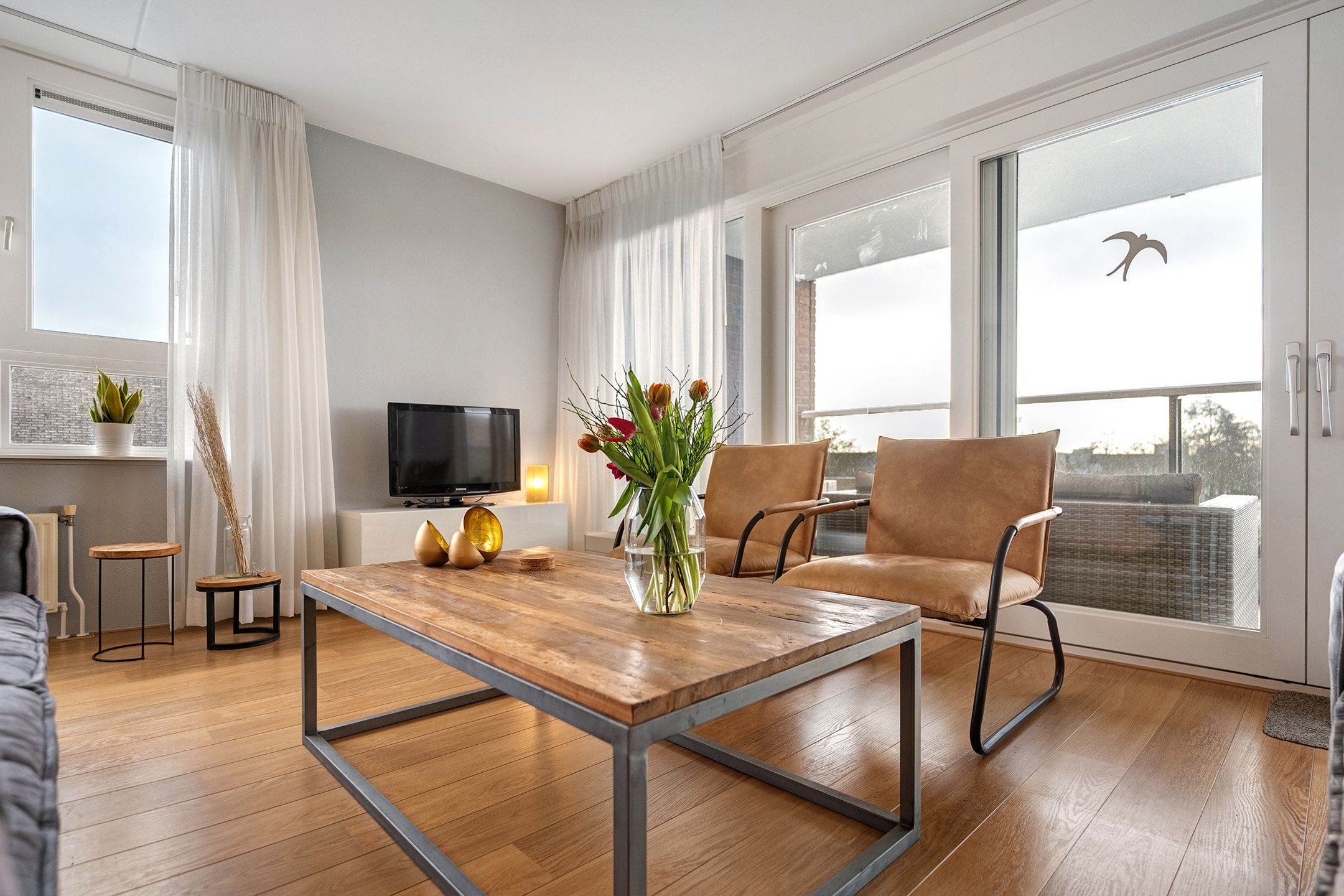 Foto 15 van Puntkroos 95