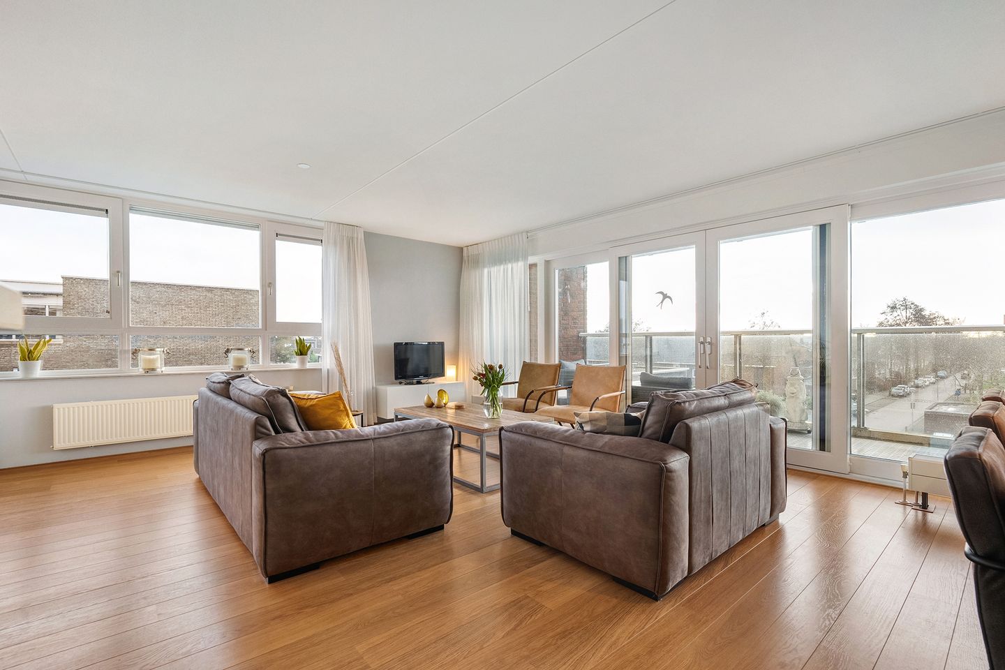 Foto 19 van Puntkroos 95