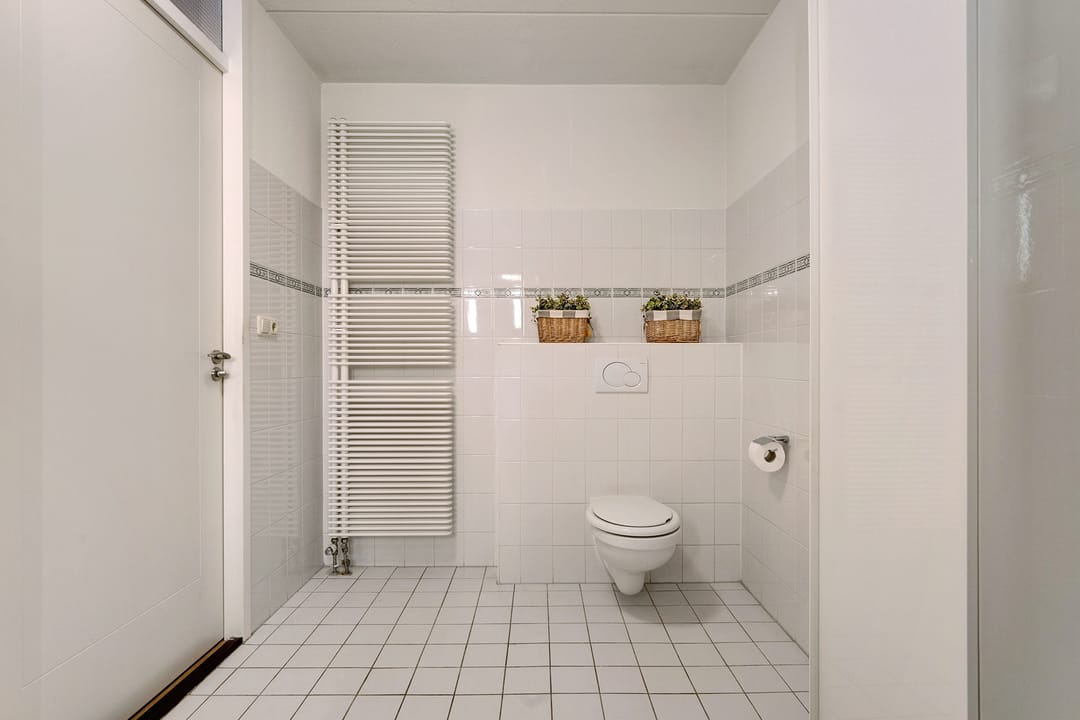 Foto 31 van Puntkroos 95