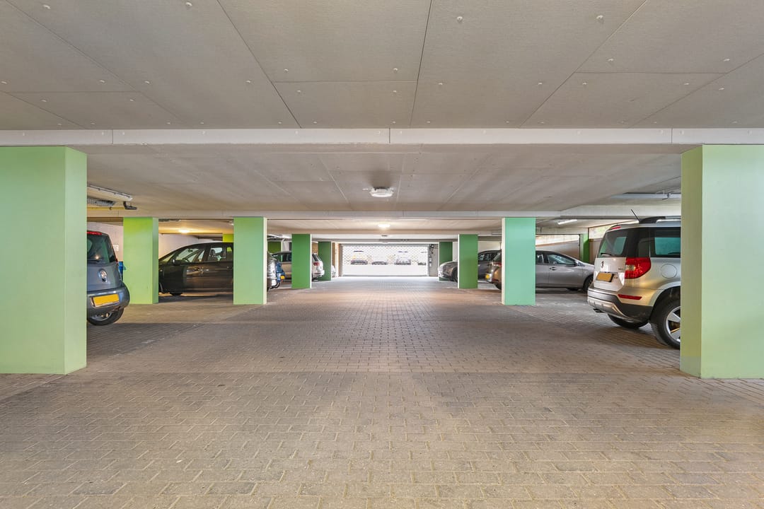 Foto 32 van Puntkroos 95