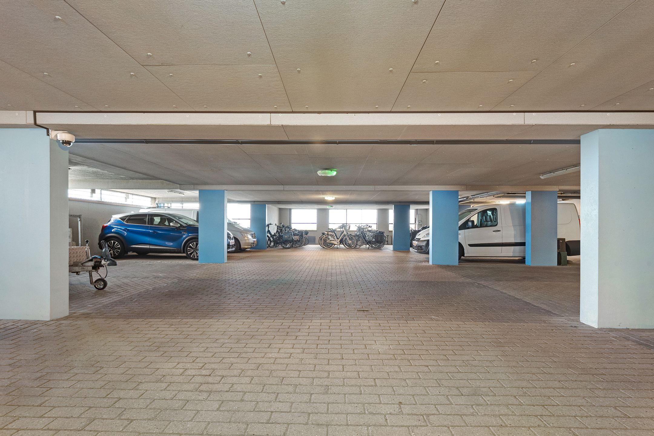 Foto 33 van Puntkroos 95