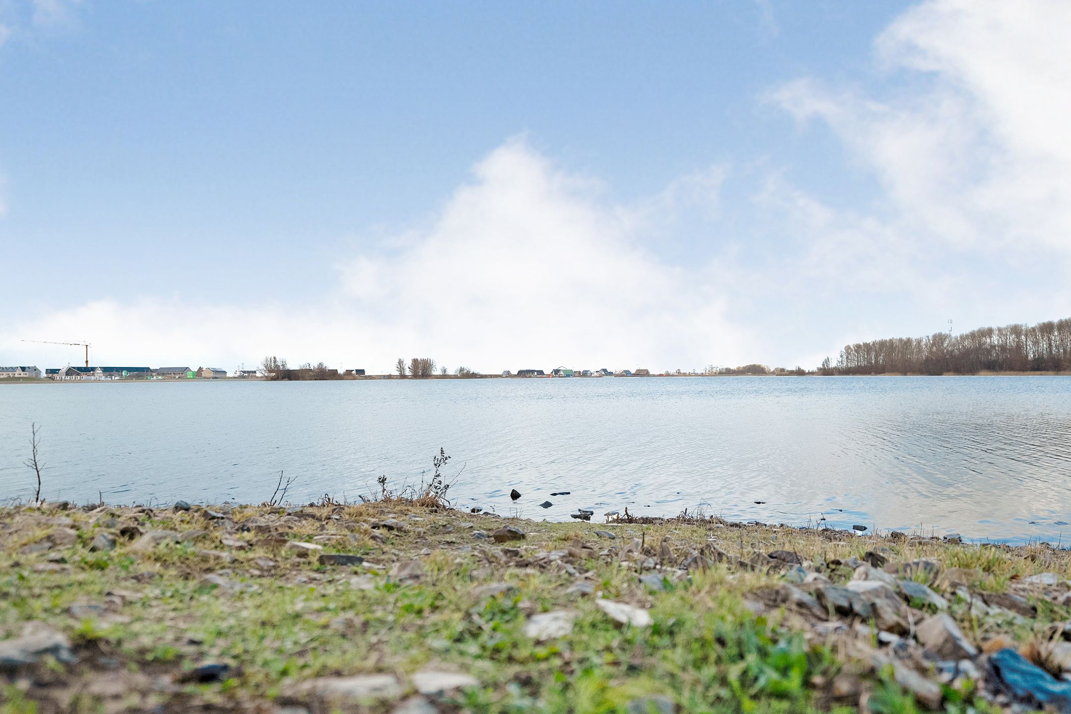 Foto 36 van Puntkroos 95