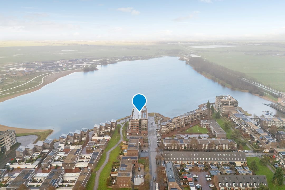 Foto 38 van Puntkroos 95