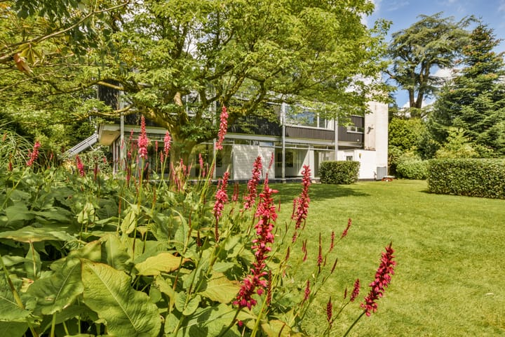 Foto 9 van Straatweg 236