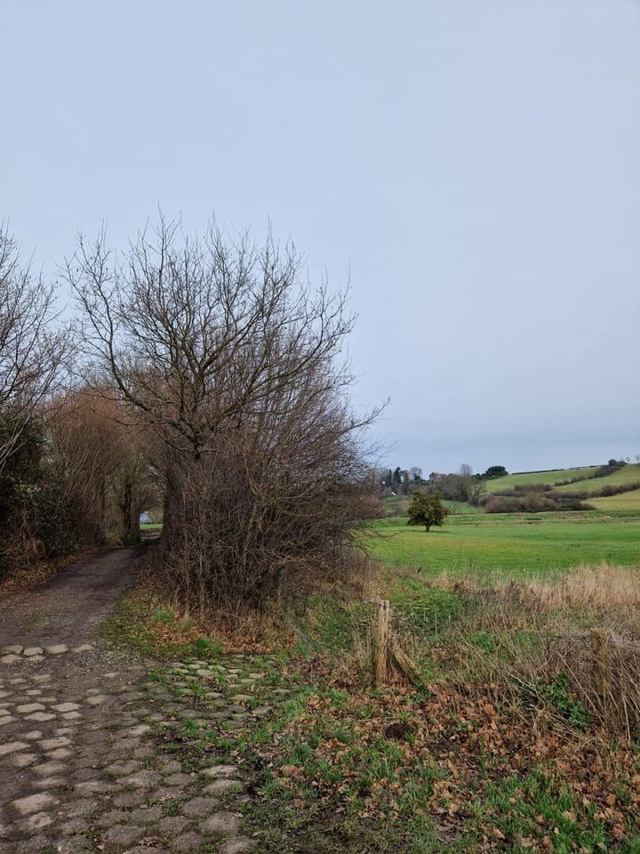 Foto 52 van Vijlenberg 4