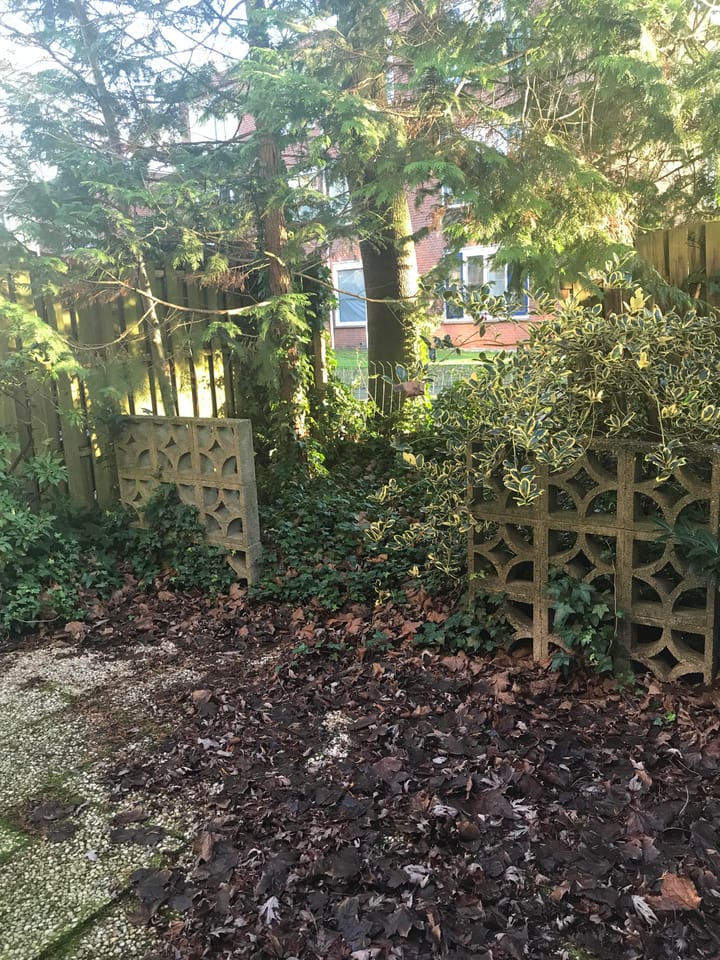 Foto 7 van Mesdaghout 19