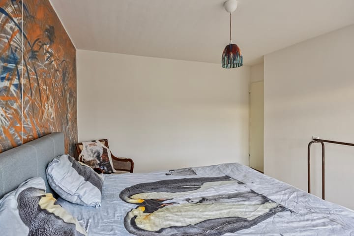 Foto 24 van Cavatinestraat 21