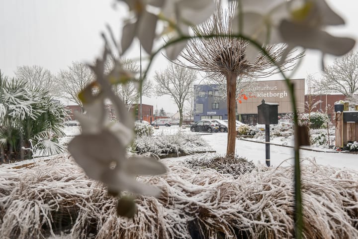 Foto 15 van van Homoetstraat 19