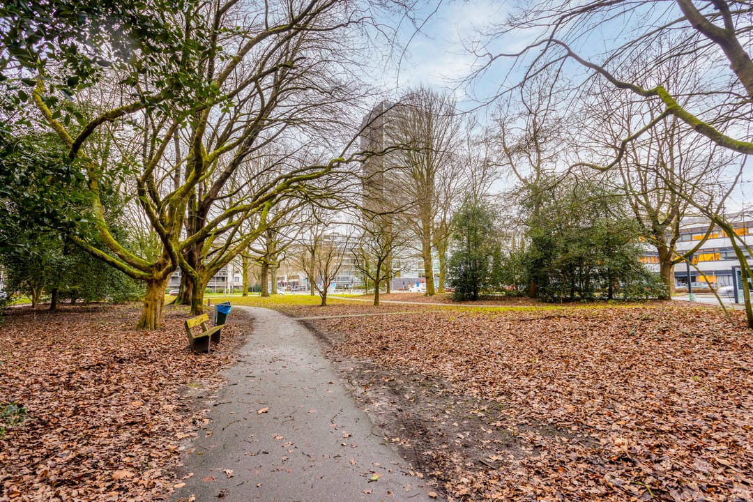 Foto 31 van Professor Cobbenhagenlaan 442