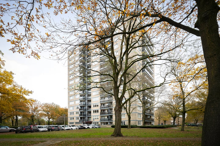 Bekijk foto van Vanekerstraat 143