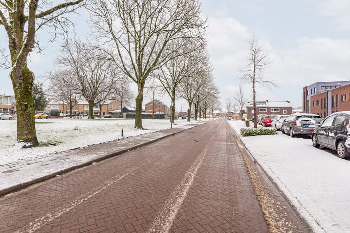 Foto 42 van van Homoetstraat 19