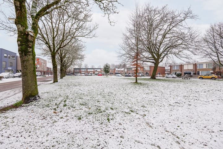 Foto 43 van van Homoetstraat 19