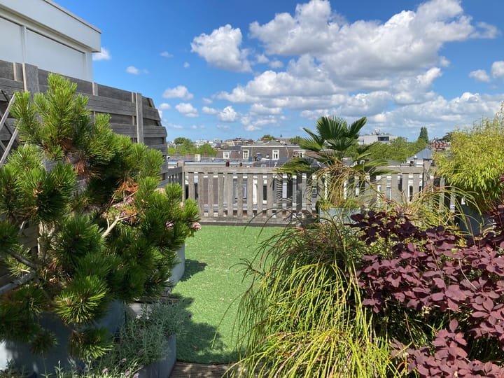 Foto 60 van Albert Cuypstraat 258-1