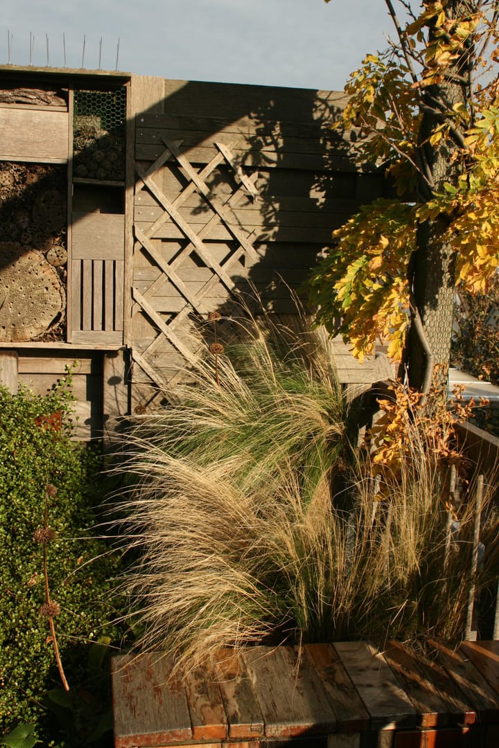 Foto 63 van Albert Cuypstraat 258-1