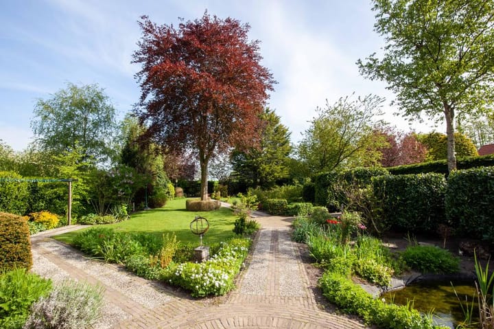 Foto 4 van Aalsmeerderweg 14